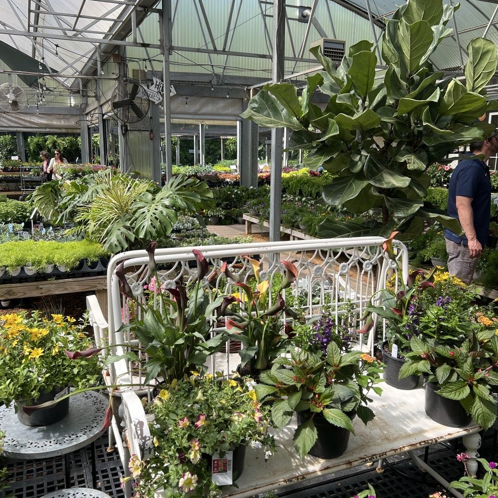 BEST Of Birmingham Plant Nursery Yelp