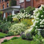 Best Shrubs For Your Garden The Home Depot