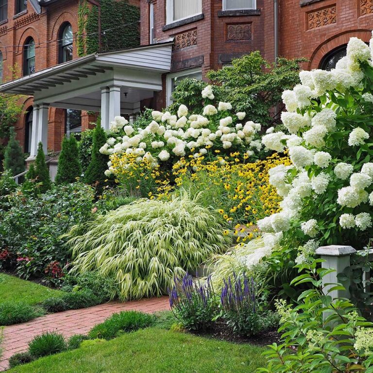 Best Shrubs For Your Garden The Home Depot