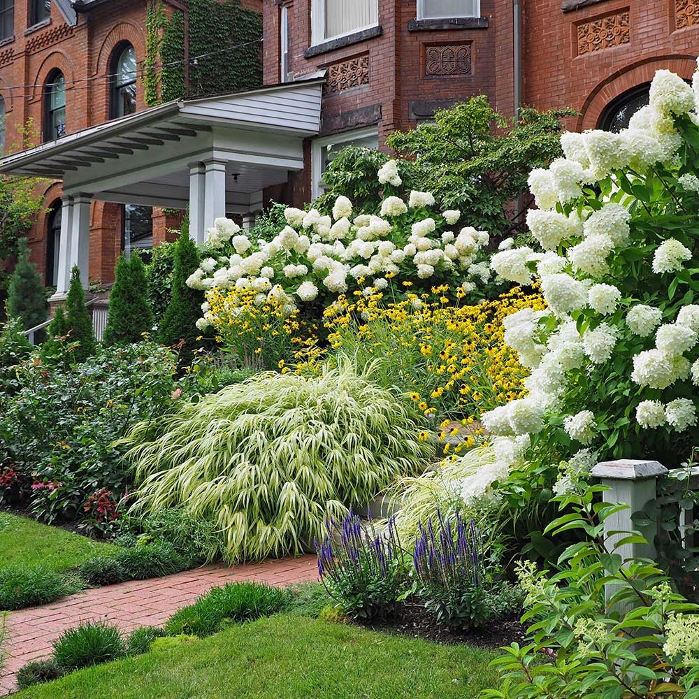 Best Shrubs For Your Garden The Home Depot