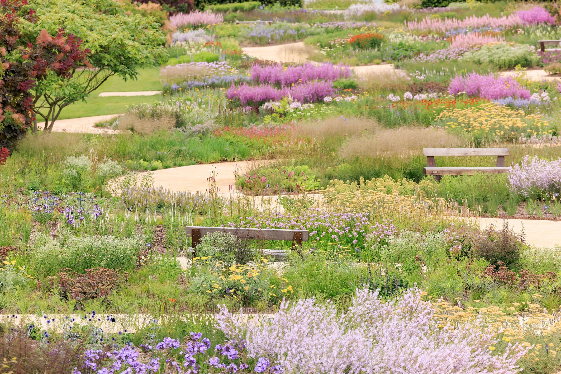 Blakedown Landscapes