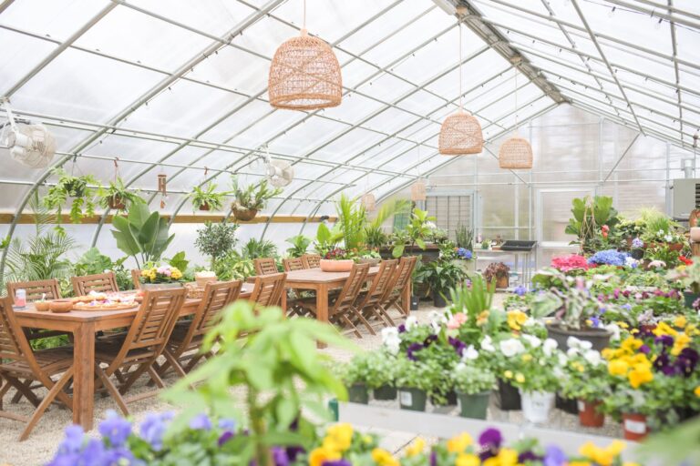 Bloom And Grow The Root In Scituate South Shore Home Life Style