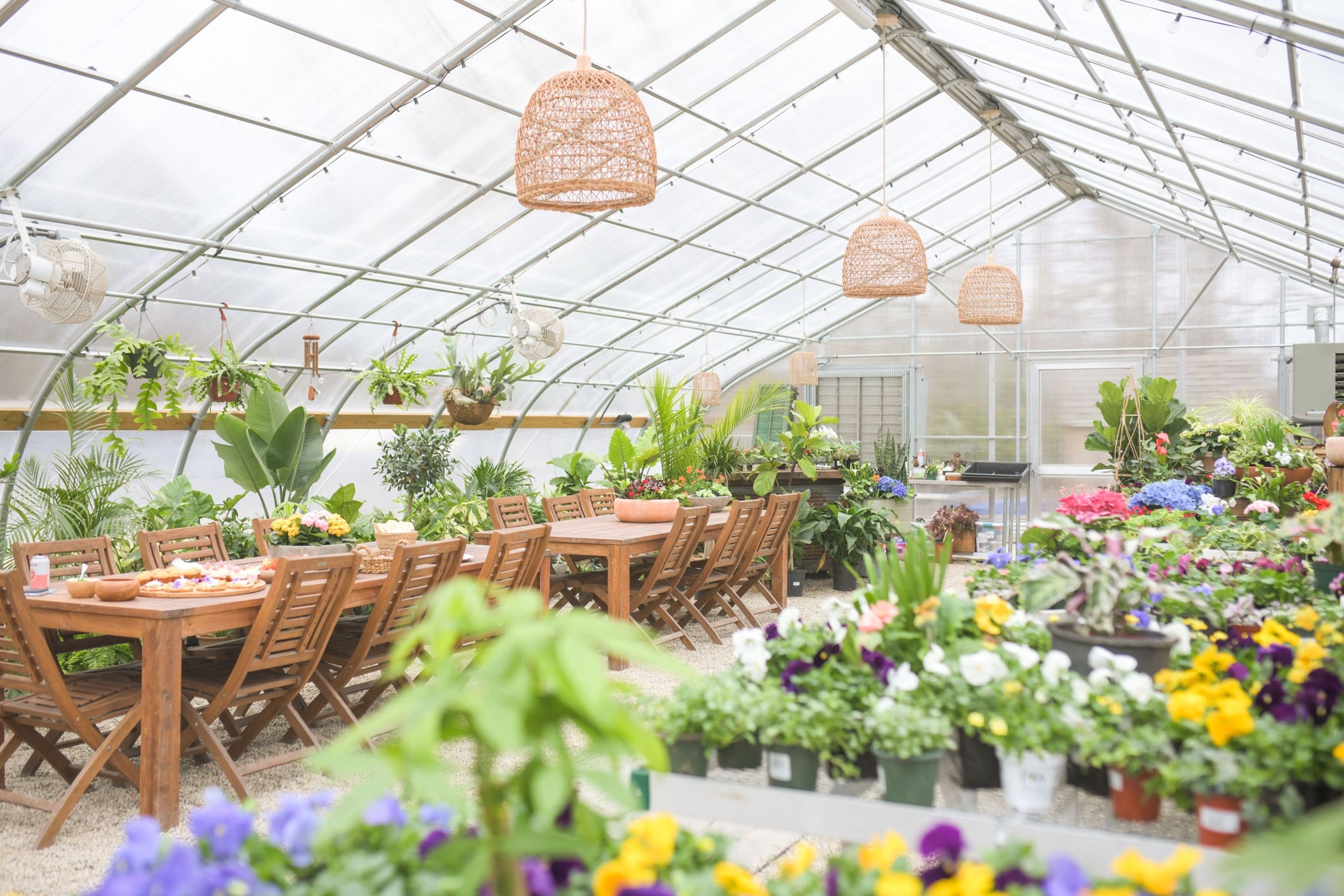 Bloom And Grow The Root In Scituate South Shore Home Life Style Bloom And Grow The Root In Scituate South Shore Home Life Style