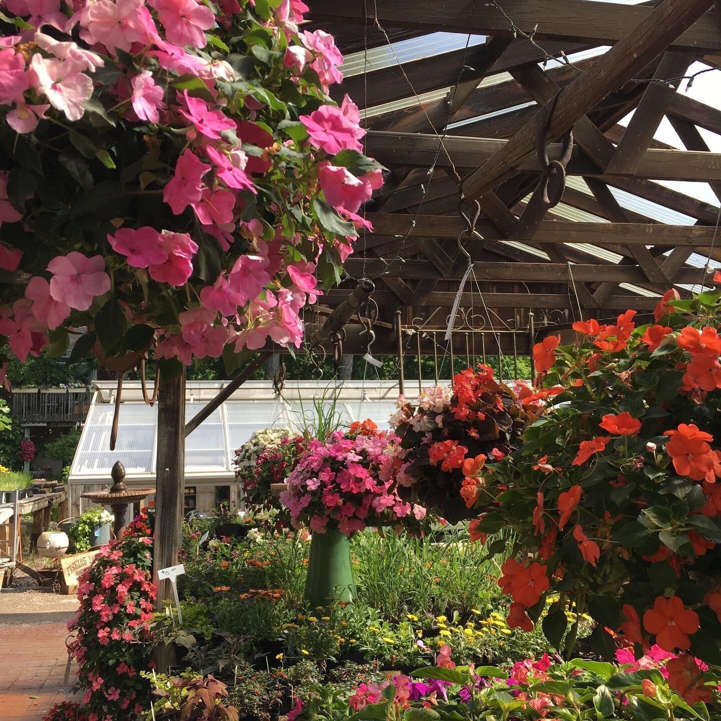 Bloomington Garden Center