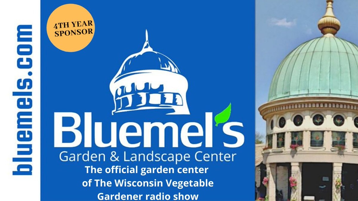 Bluemel s BluemelsGC X
