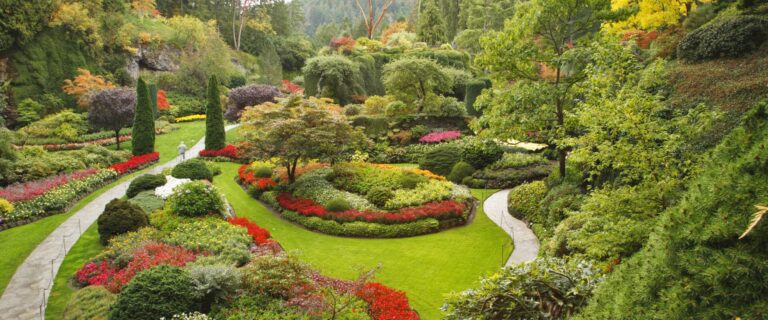 Buckhead Landscape Design And Installation Backyard Design Ideas Services