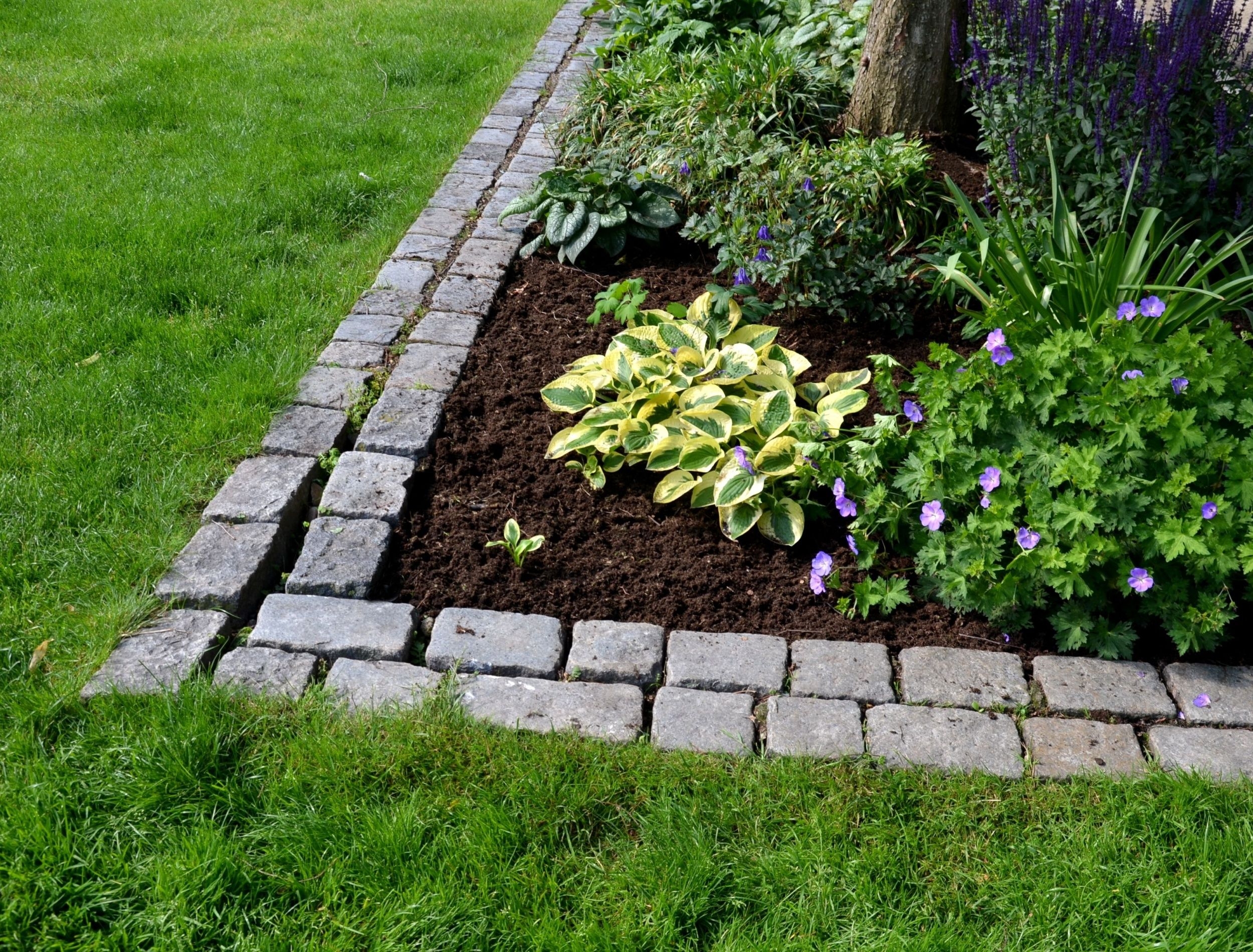 landscape edging stones