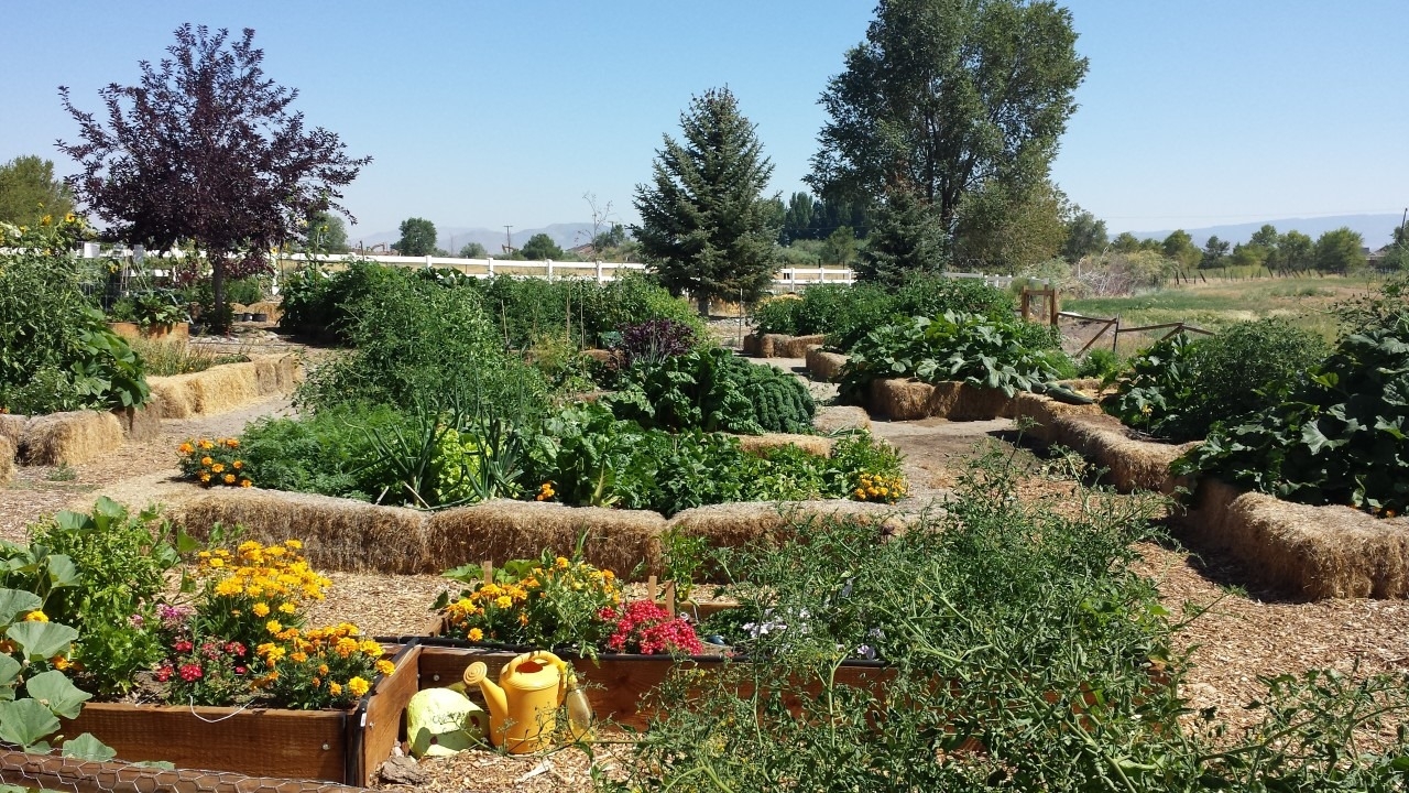 replenish landscape garden products replenish landscape garden products