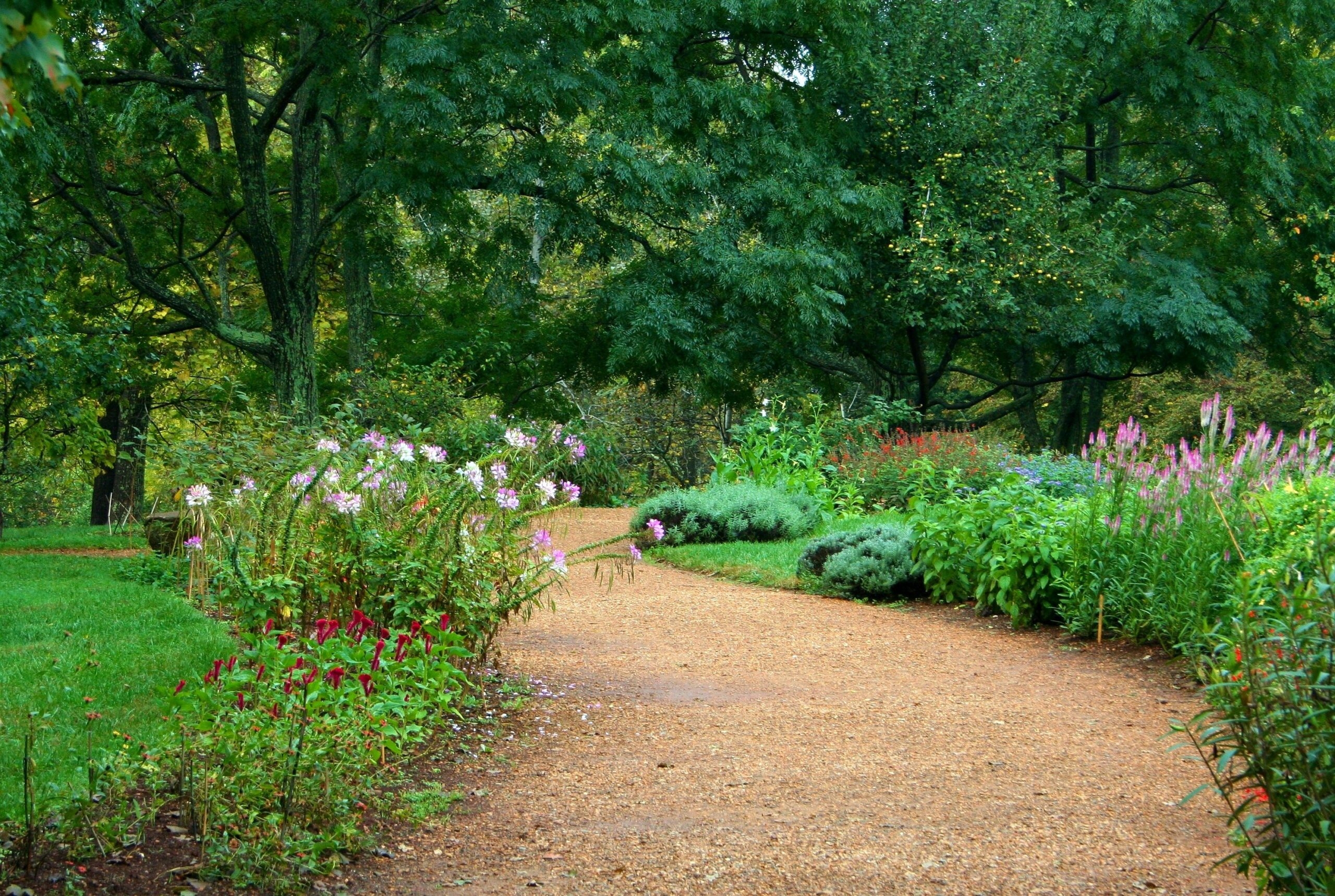 landscaping gravel pathways