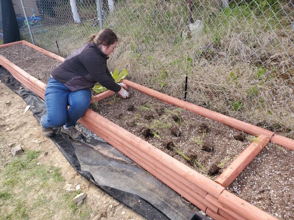 Building DIY Raised Beds From Landscape Timbers Building DIY Raised Beds From Landscape Timbers
