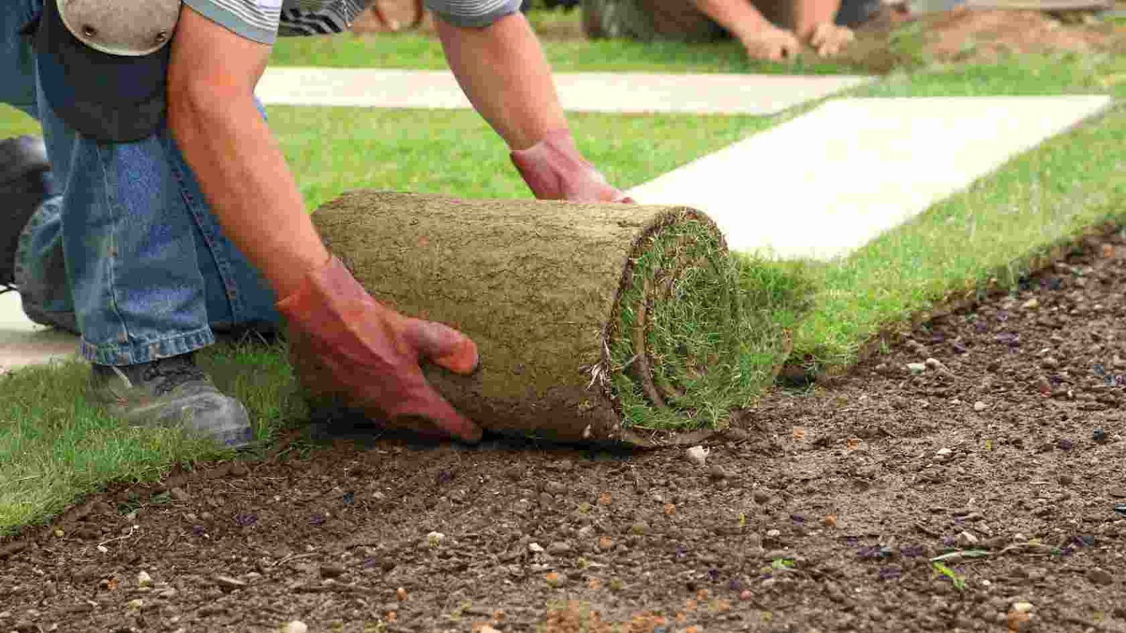 trabajos de landscaping