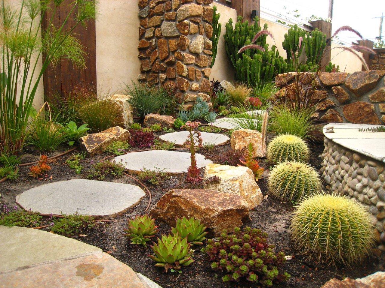 Cactus Garden Photos Ideas Houzz