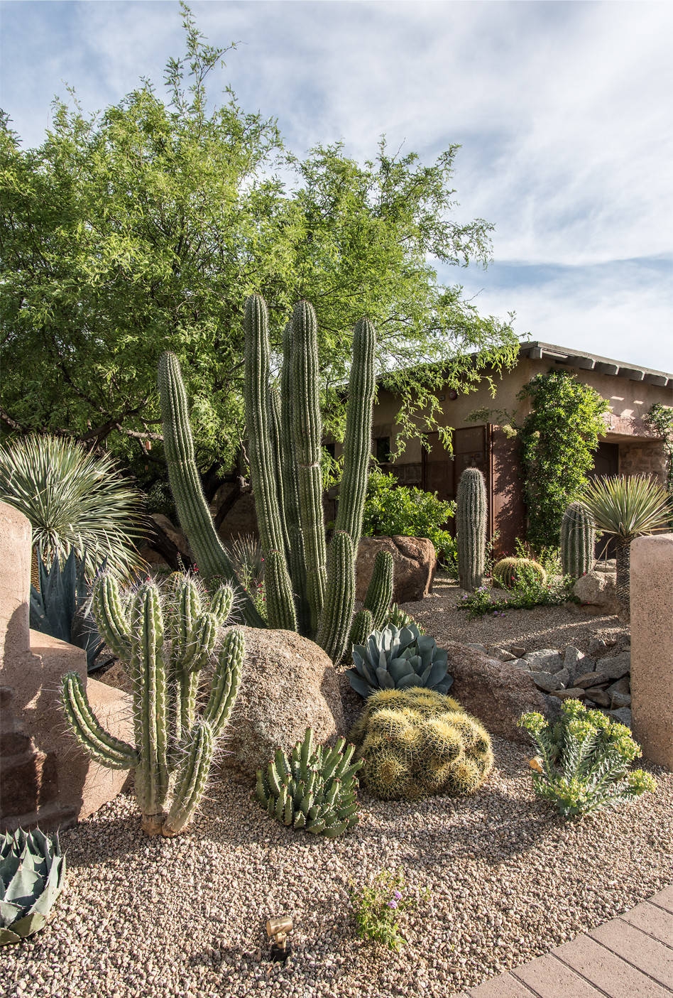 Cactus Garden Photos Ideas Houzz