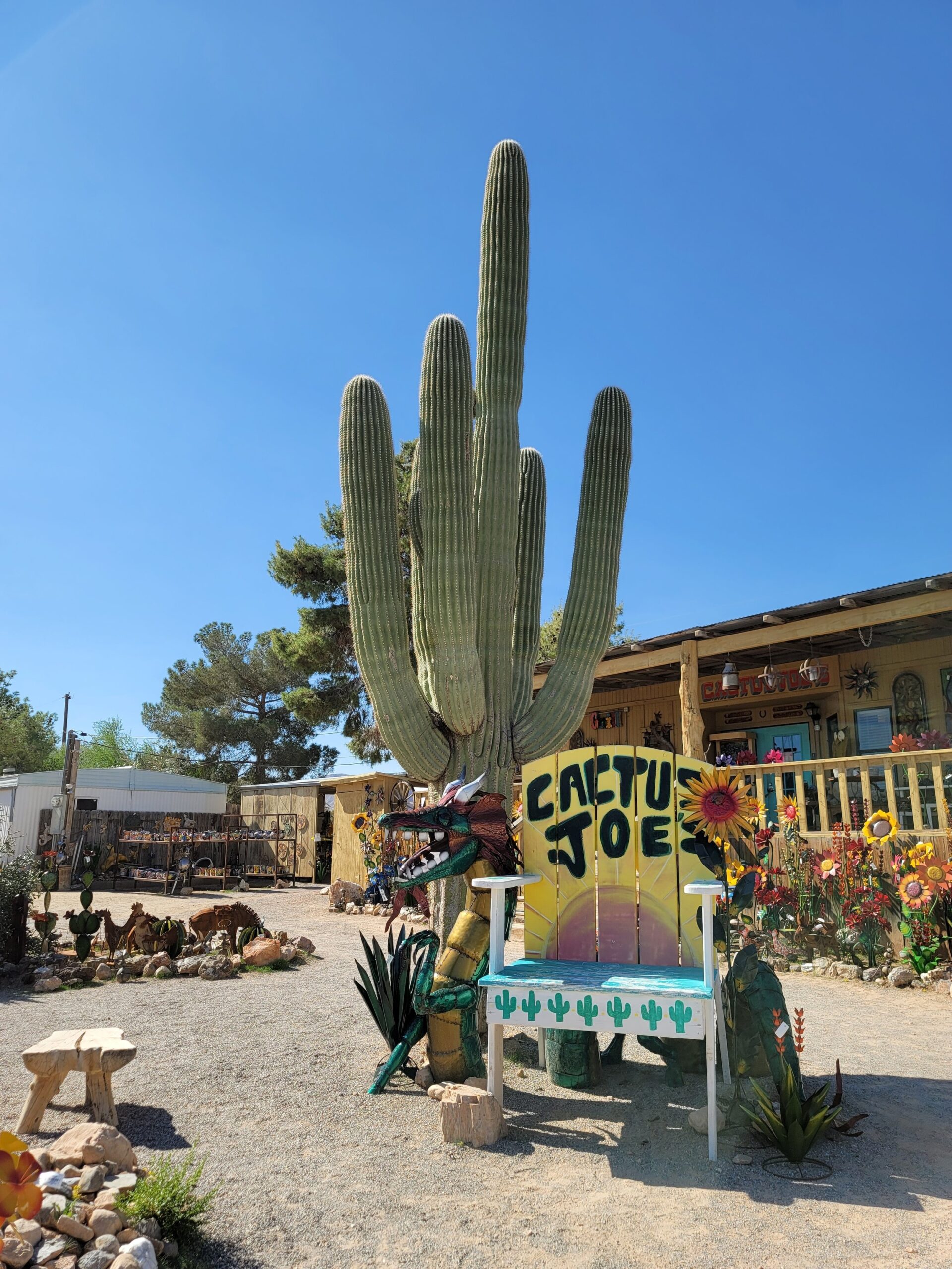 Cactus Joe s Blue Diamond Nursery
