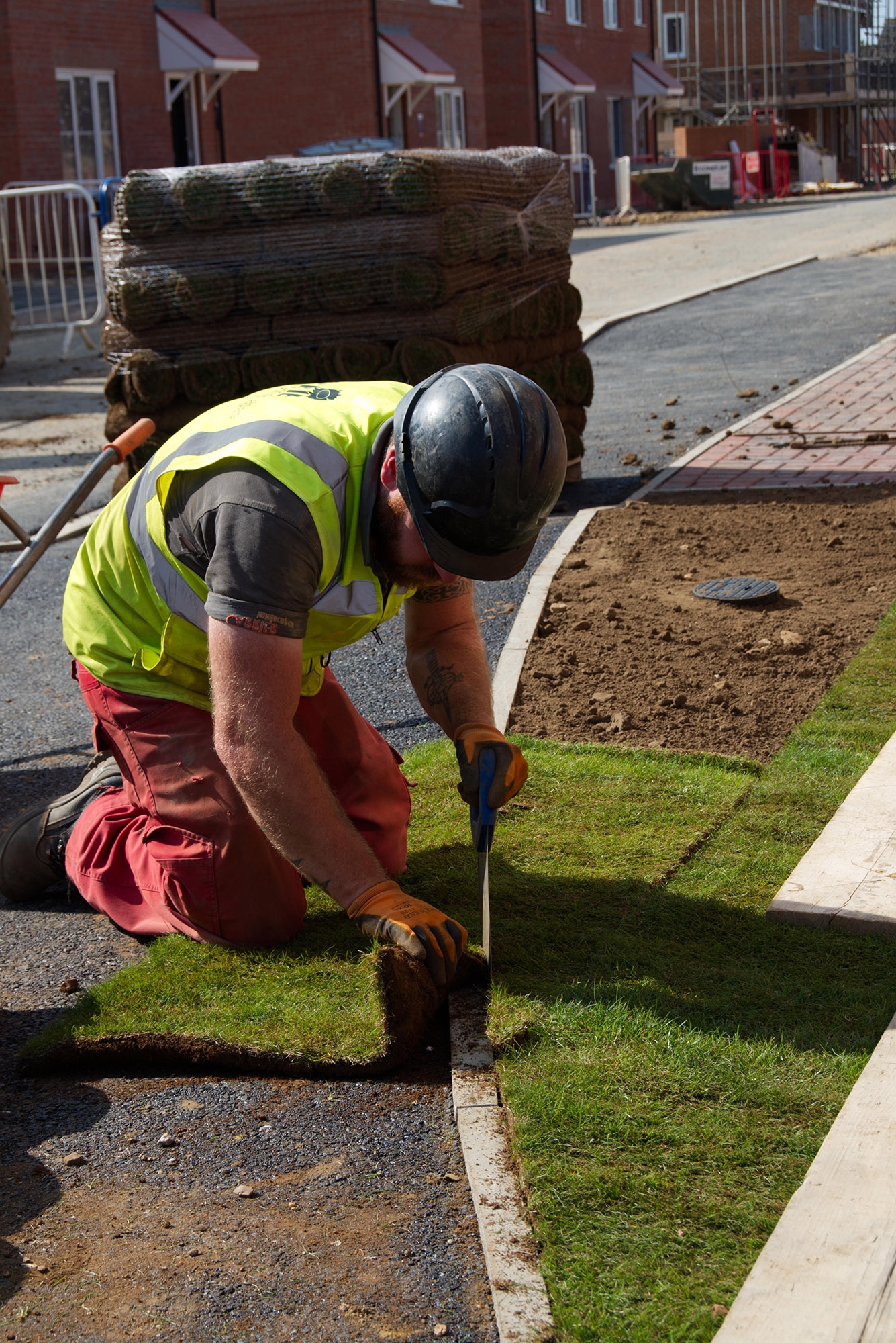 carrier landscapes ltd