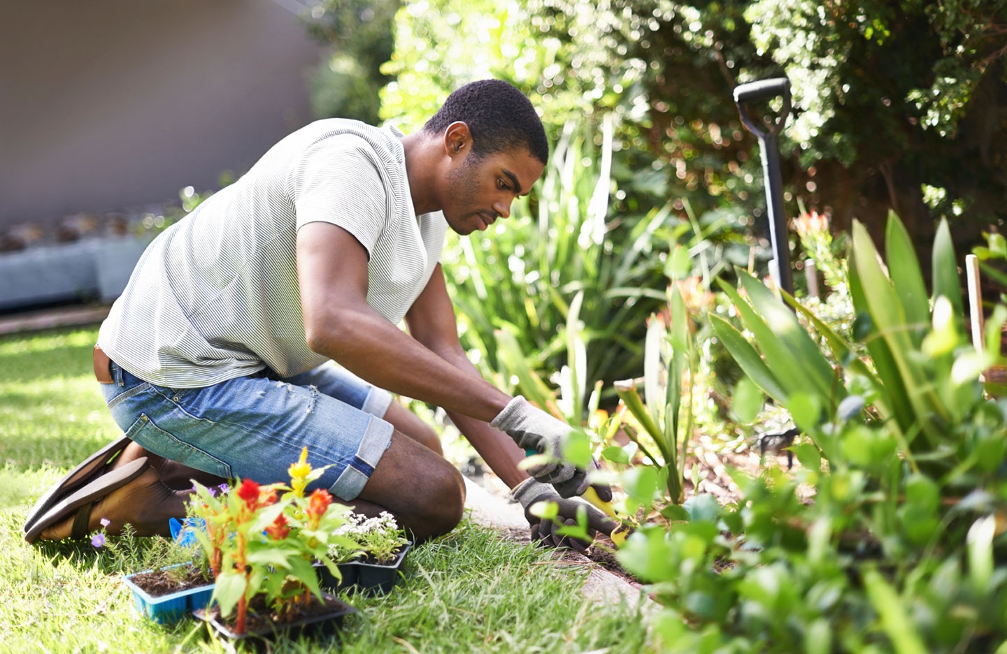Careers Landscaper Let s Talk Science