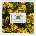 Cavacini Garden Center