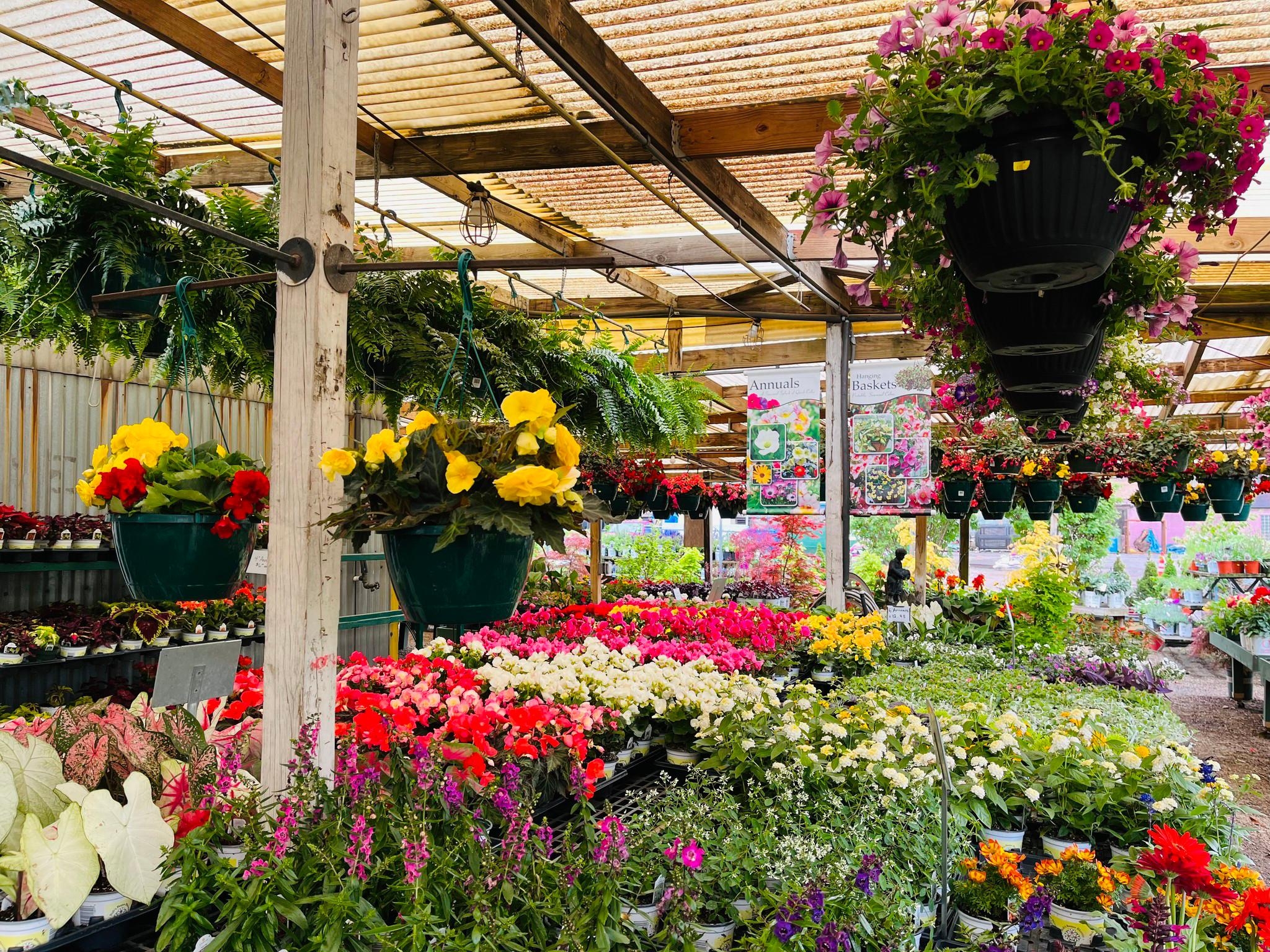 Cavacini Landscaping Garden Center 100 50th St Pittsburgh PA 15201 US MapQuest
