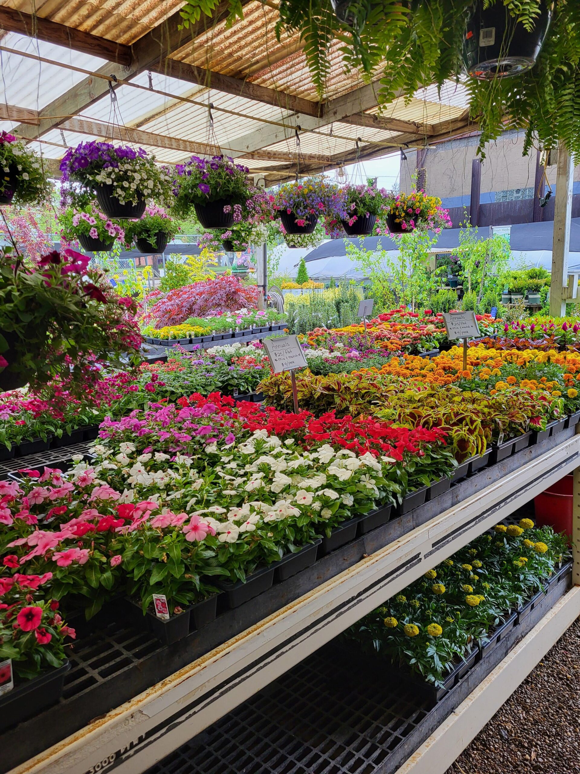 Cavacini Landscaping Garden Center 100 50th St Pittsburgh PA 15201 US MapQuest