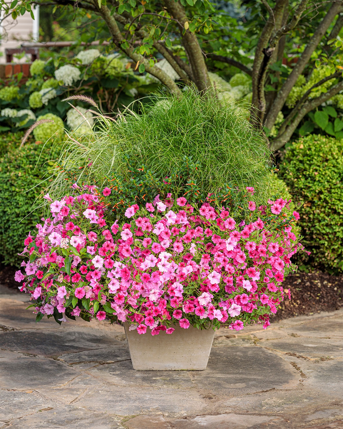 redwood nursery garden center and landscaping redwood nursery garden center and landscaping