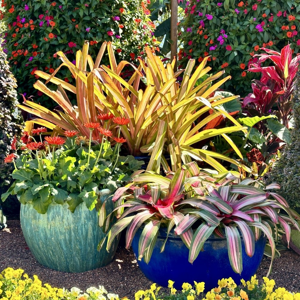 Central Florida Landscape Plants Central Florida Plant Guide