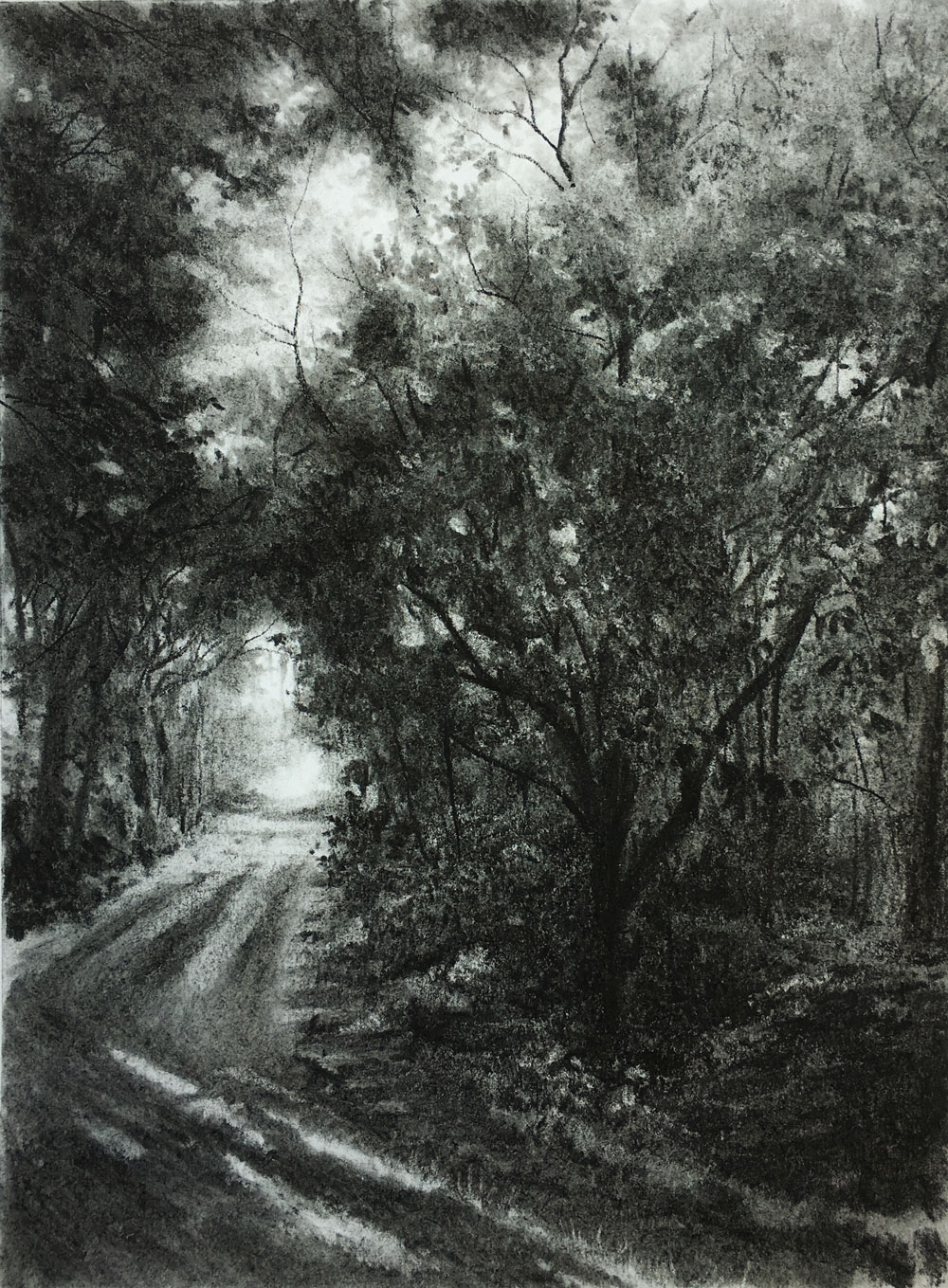 Charcoal Landscape Lesson Series