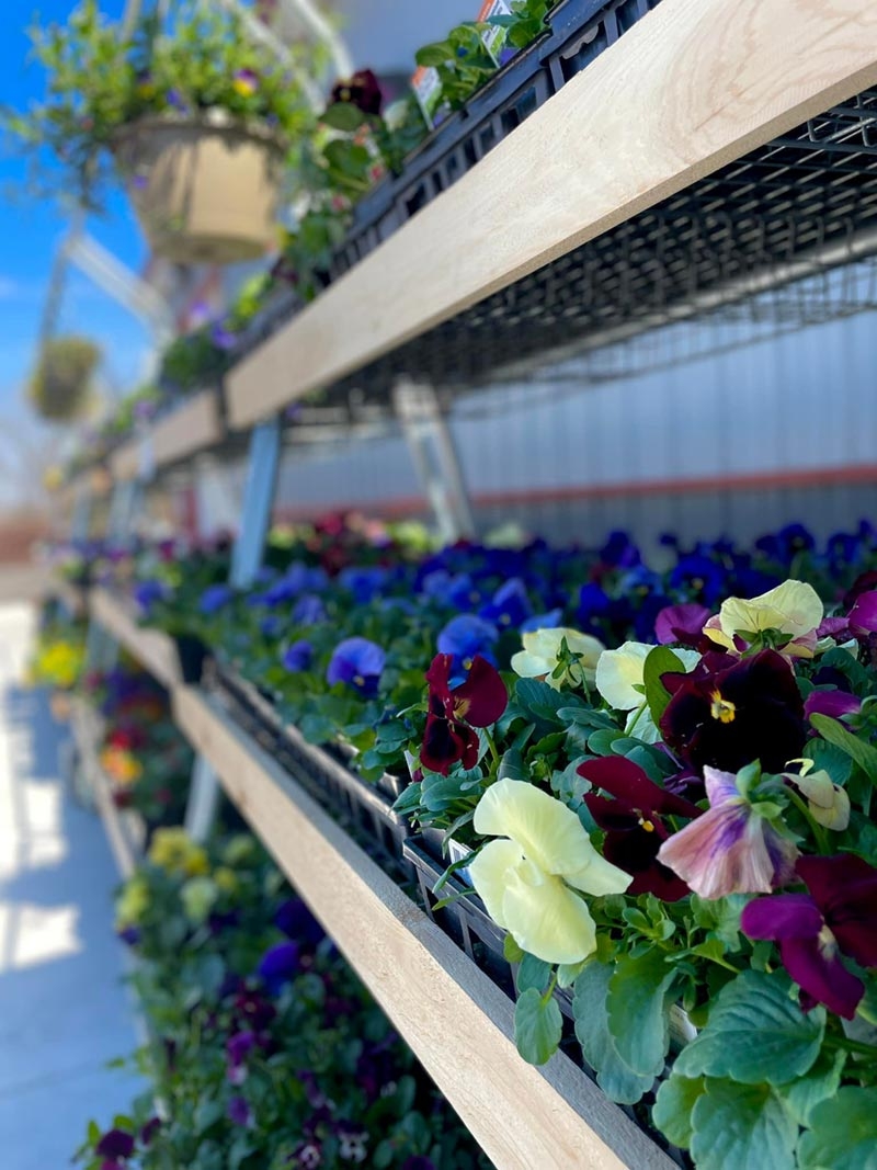 Charles Town WV Garden Center Landscape Supply Seasonal Services LLC Charles Town WV Garden Center Landscape Supply Seasonal Services LLC