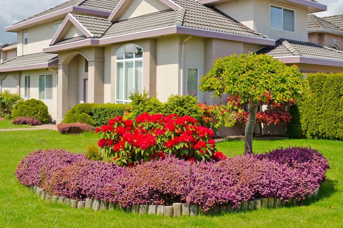 cheap simple front yard landscaping ideas
