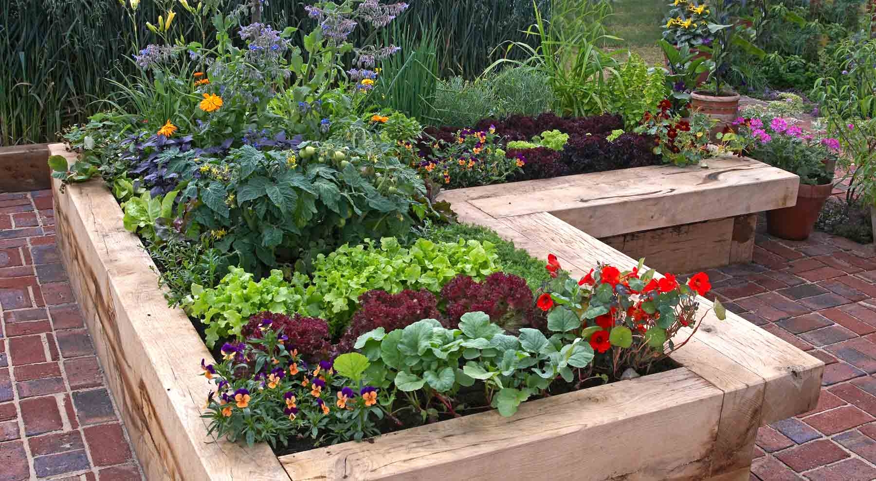 Cheap Landscaping Ideas To Enhance Your Yard On A Budget 2025 
