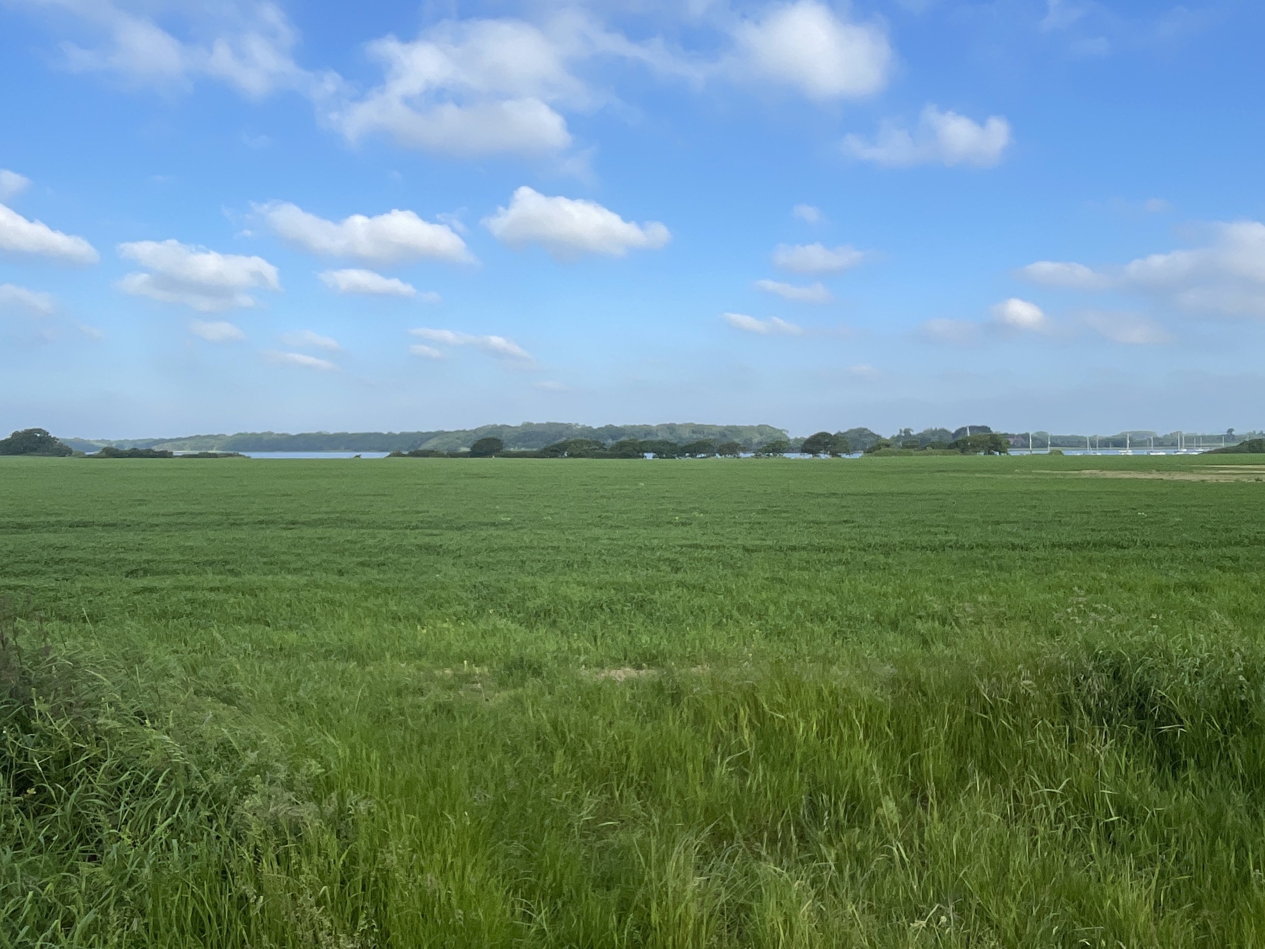 Chichester Harbour National Landscape High Points Richard Gower