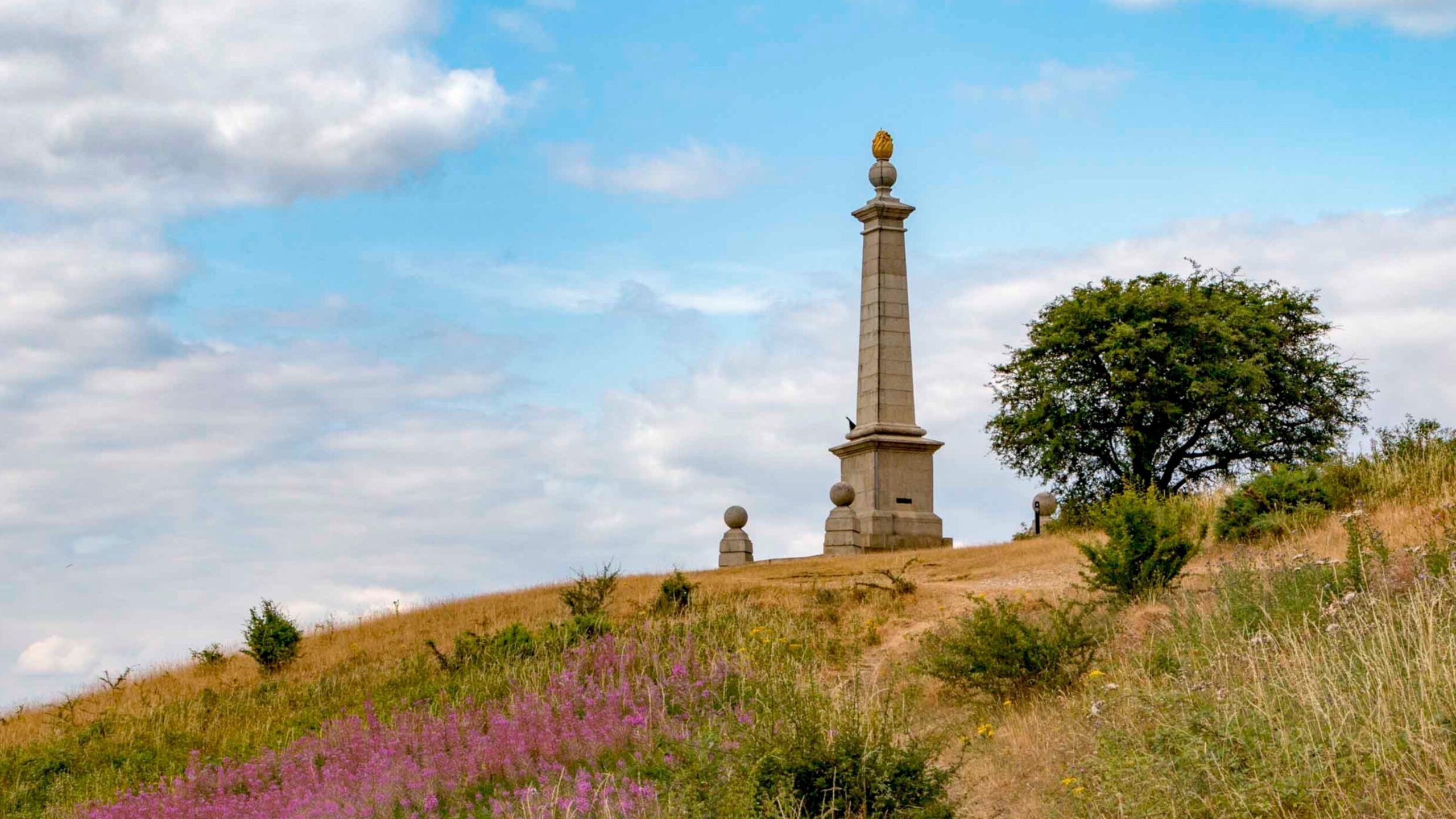 chilterns national landscape