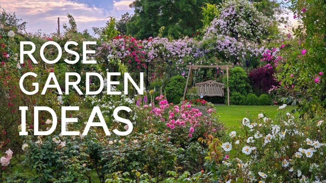 Choosing Roses Arches Pergolas Fences Obelisks expert Tips For A Gorgeous Garden YouTube