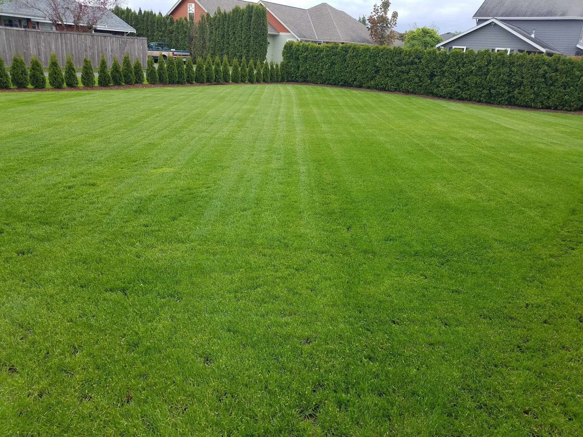 clean cut landscaping
