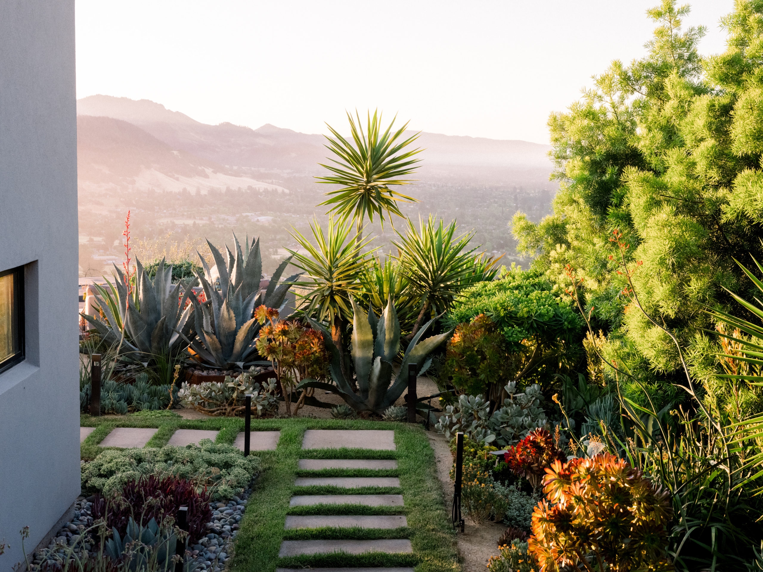 Colorful Succulents Bring Beauty To Fountaingrove Garden Rebuilt After Tubbs Fire Sonoma Magazine