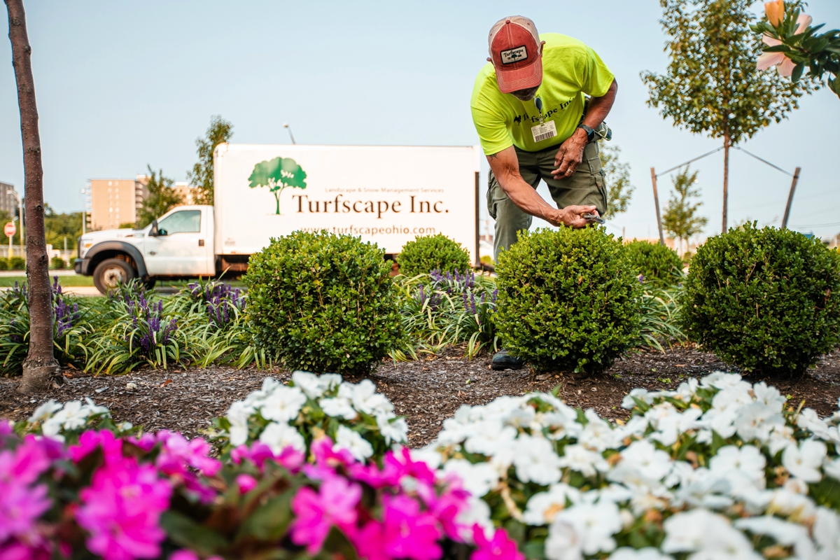 Commercial Landscape Services Turfscape