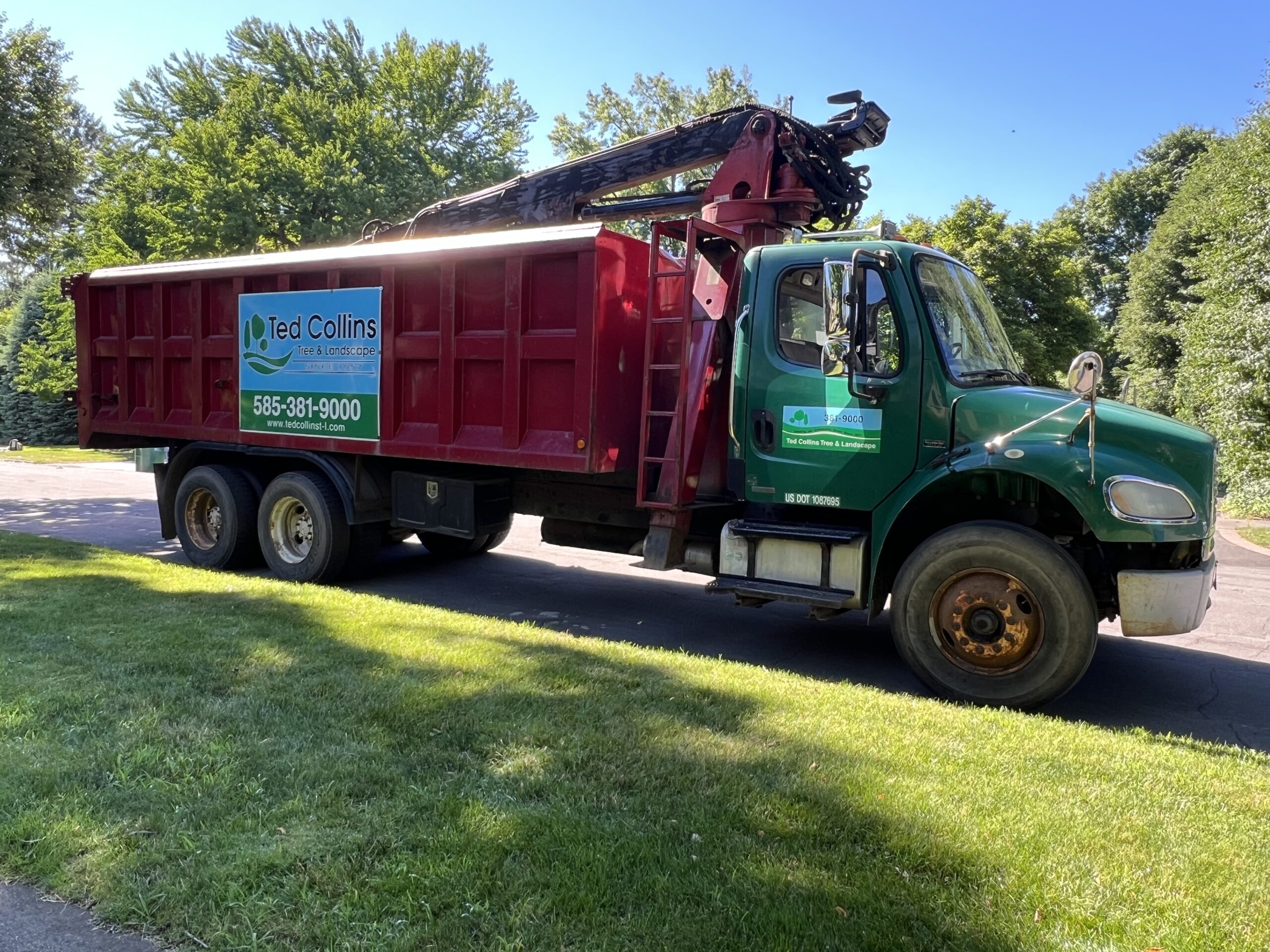 Commercial Landscape Services WNY Ted Collins Tree Landscape