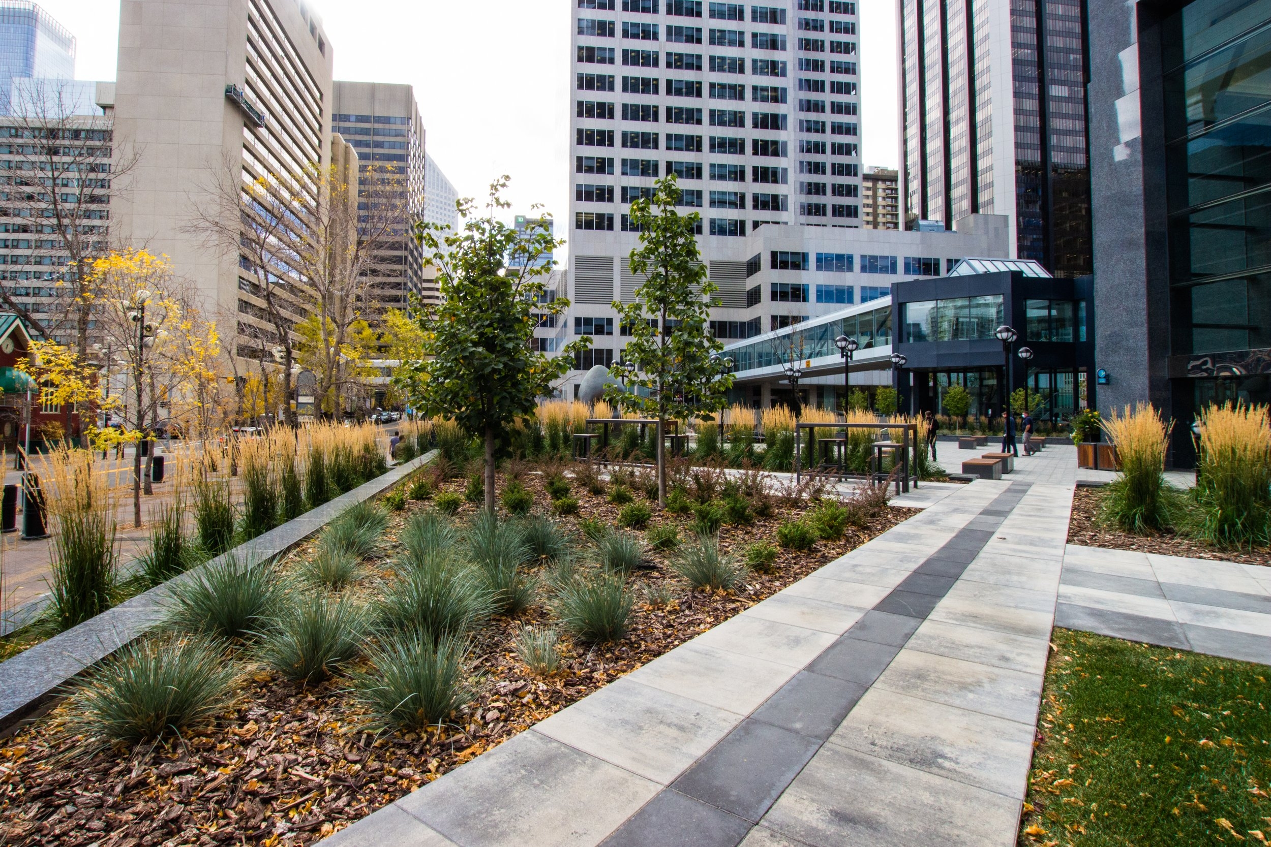 Commercial Landscaping And Construction Foothills Landscaping