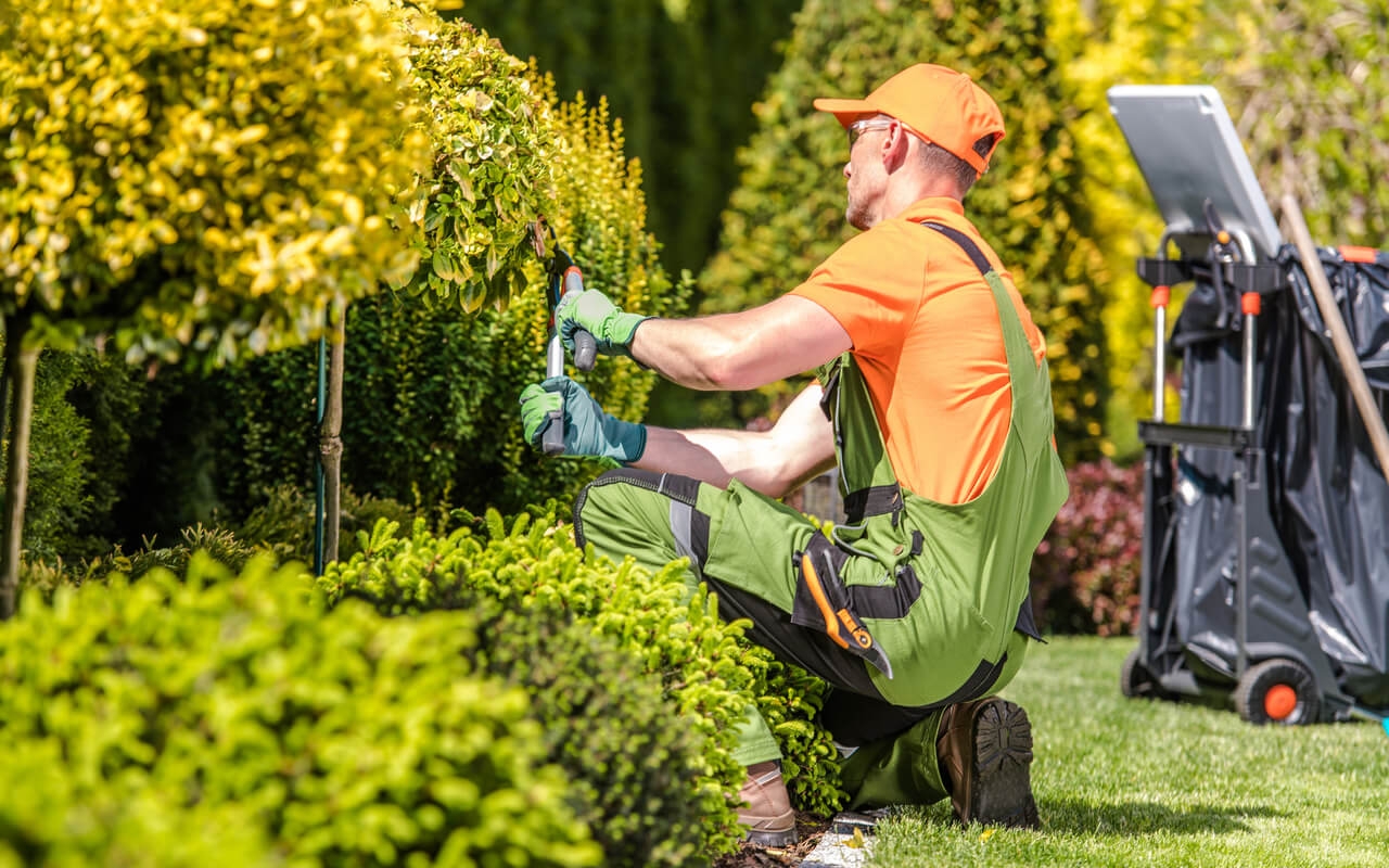 Commercial Landscaping Management OpenWorks