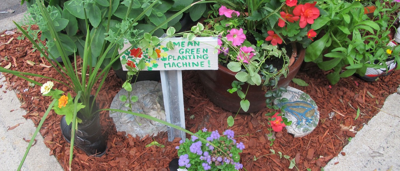 Community Greening Brooklyn Botanic Garden