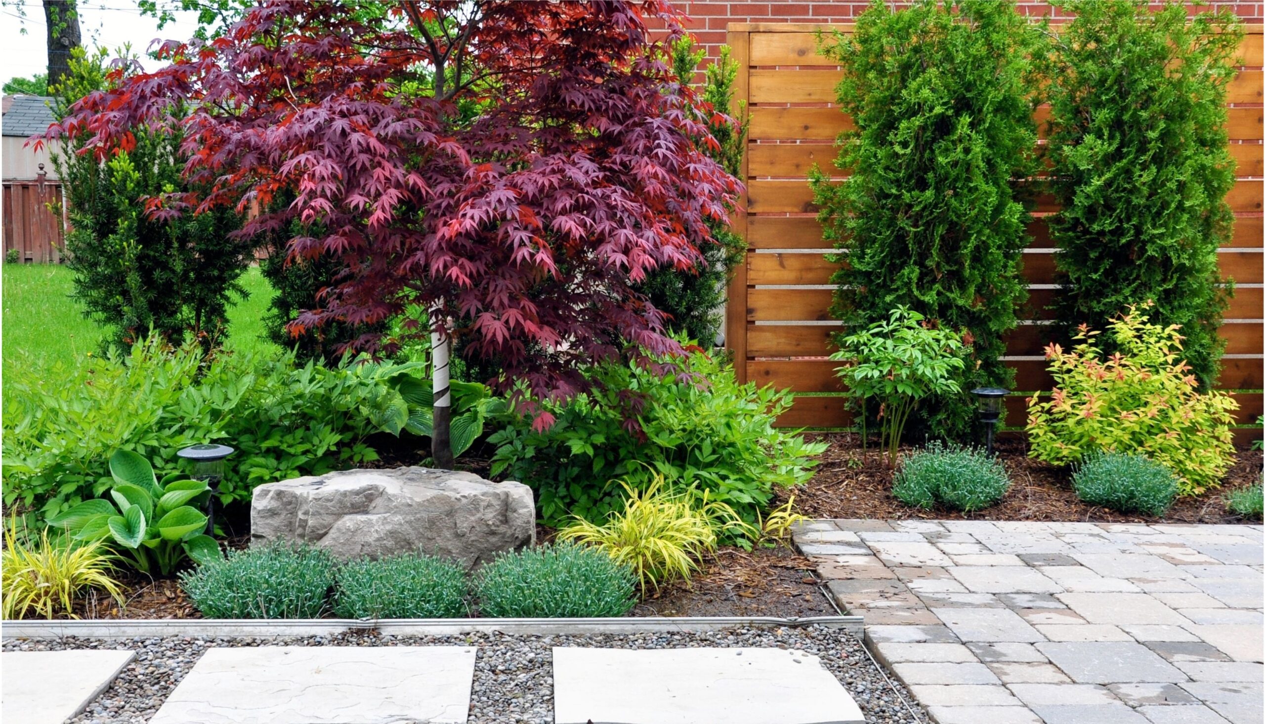 Companion Plants For Your Japanese Maple