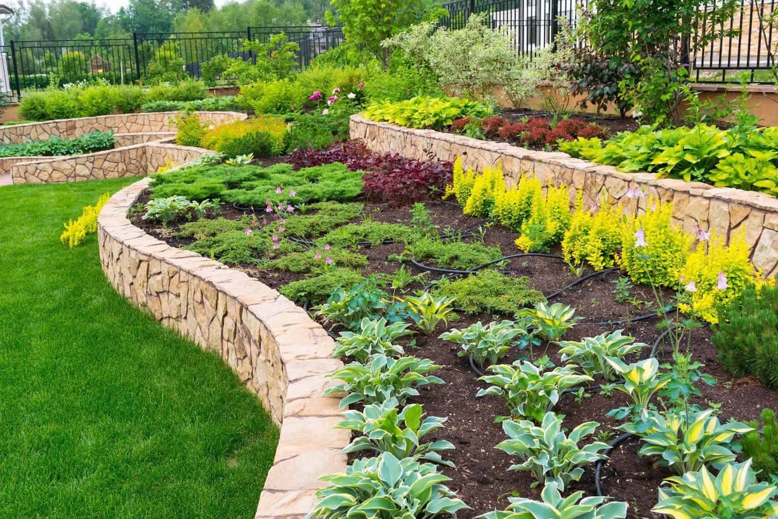 landscaping vs gardening