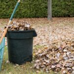 Complete Guide To Yard Waste Removal Services Bye Junk