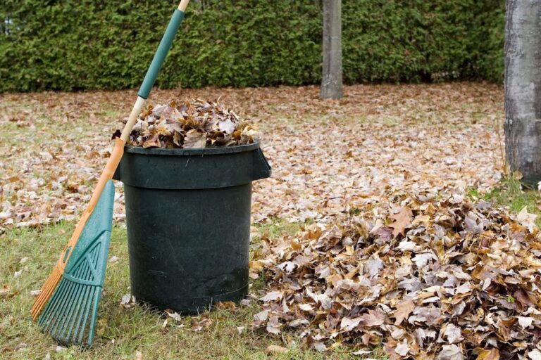 Complete Guide To Yard Waste Removal Services Bye Junk