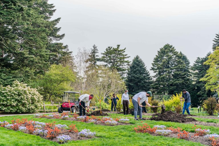 Continuing Education At The New York Botanical Garden