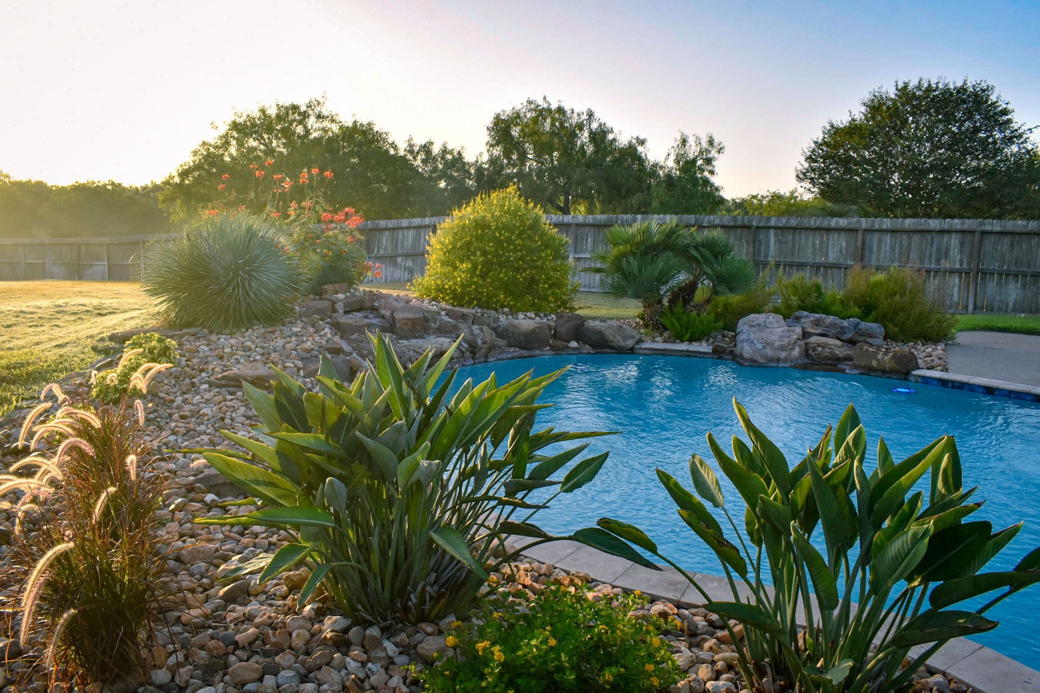 Corpus Christi TX Landscape Pricing Gill Garden Center Landscape Co 