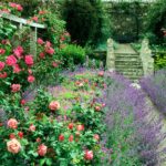 Cottage Garden