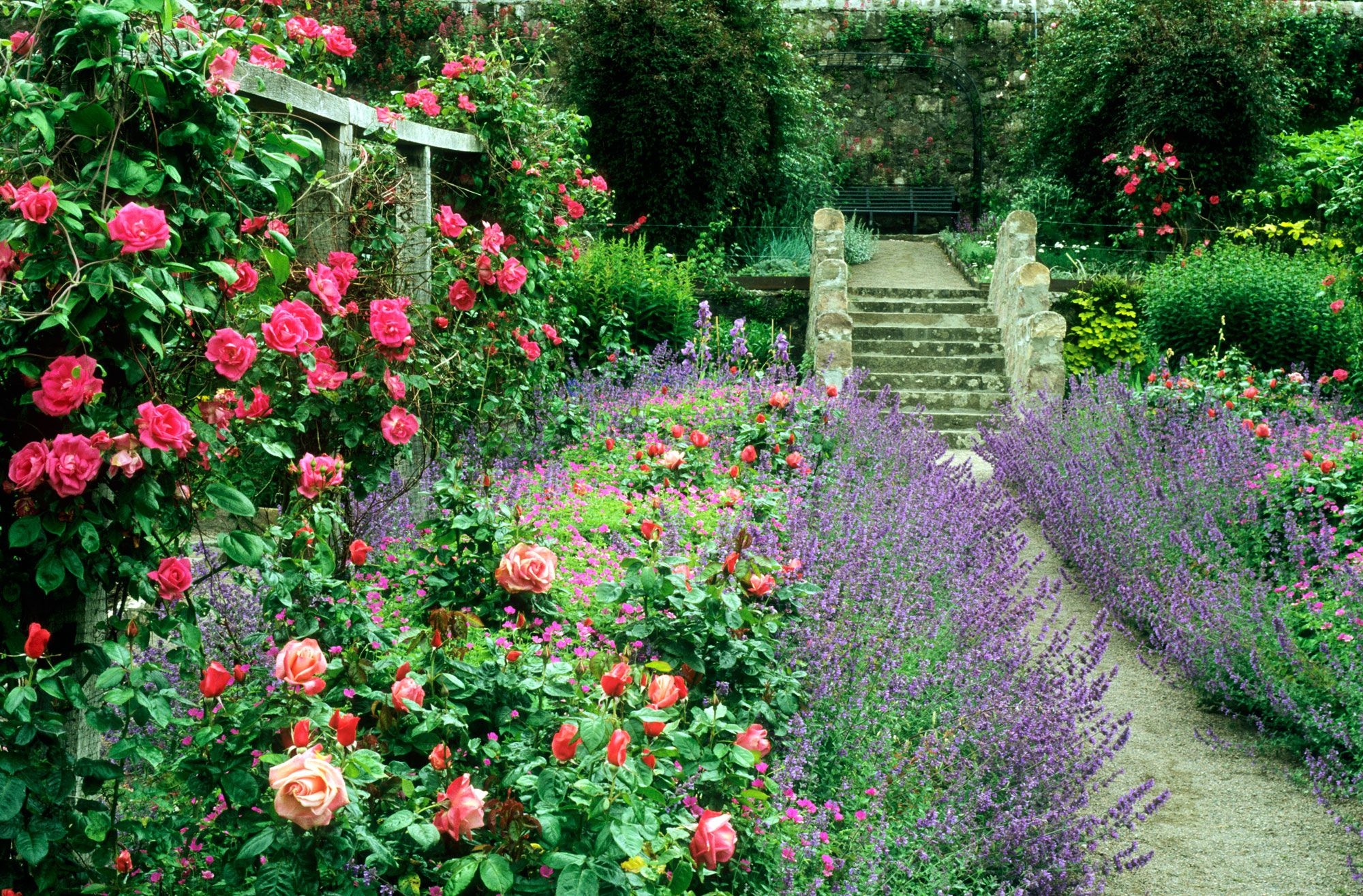 Cottage Garden
