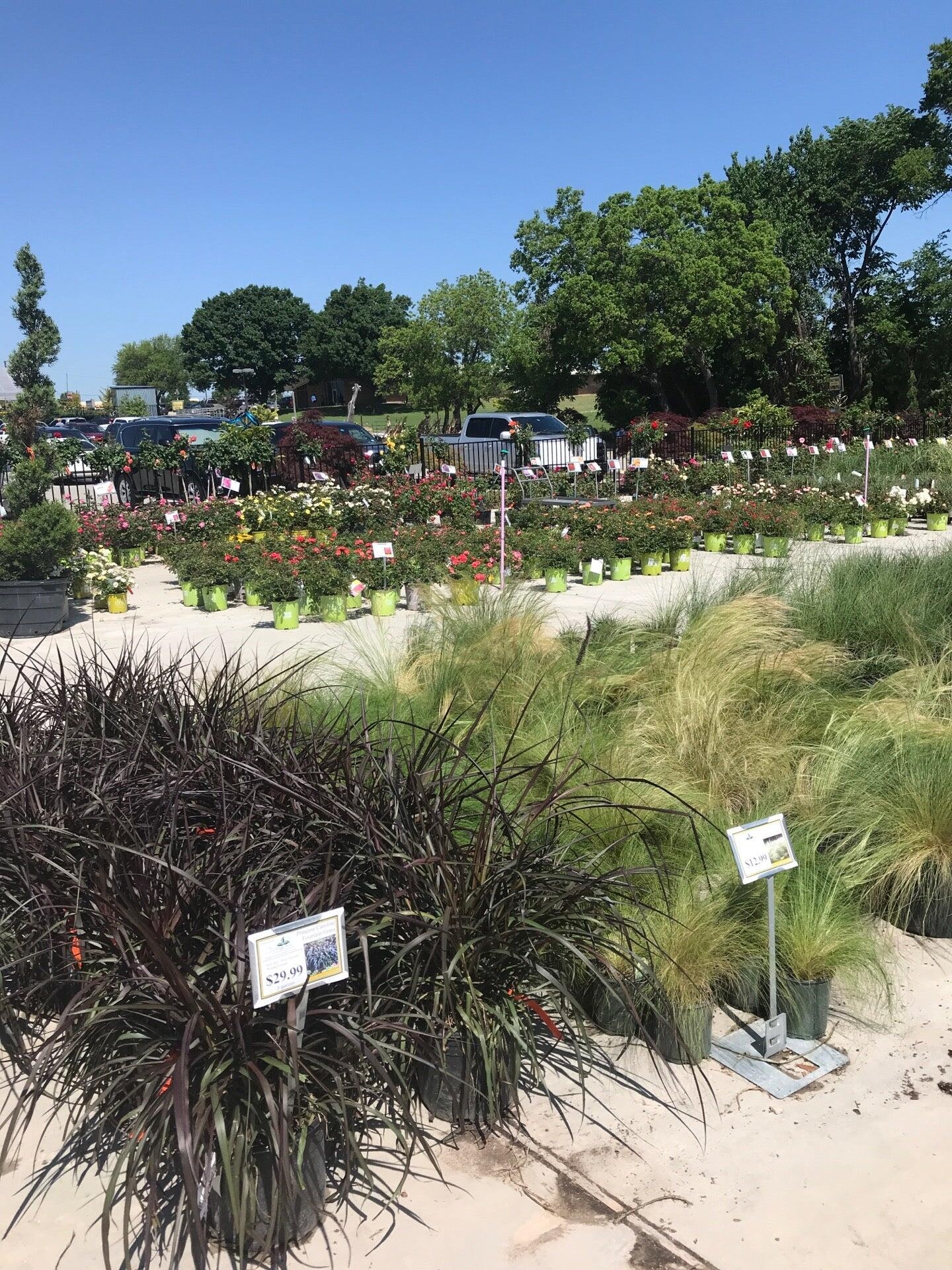 Covington Landscape Co Rowlett TX Nextdoor