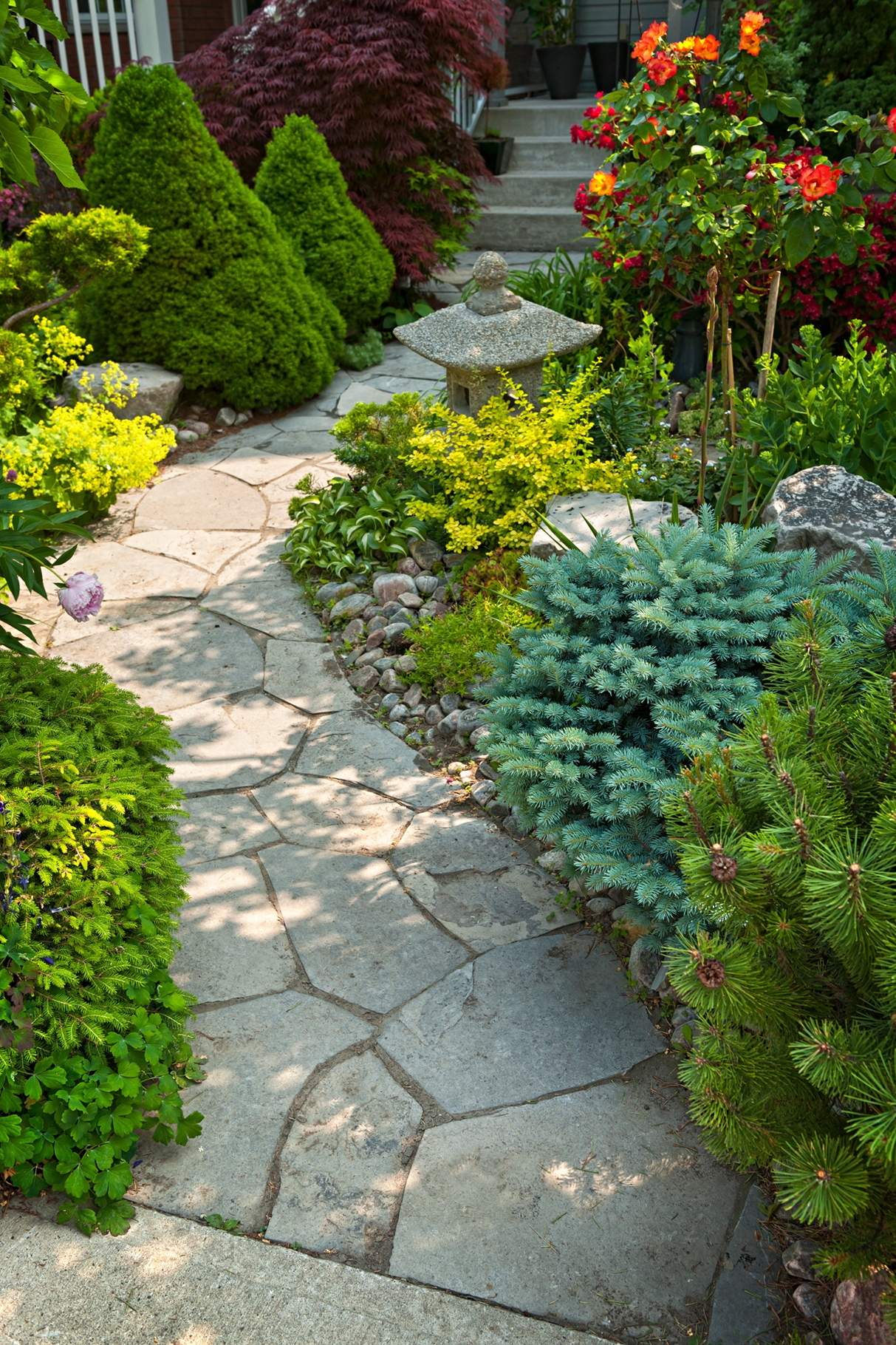 cox landscapes ltd
