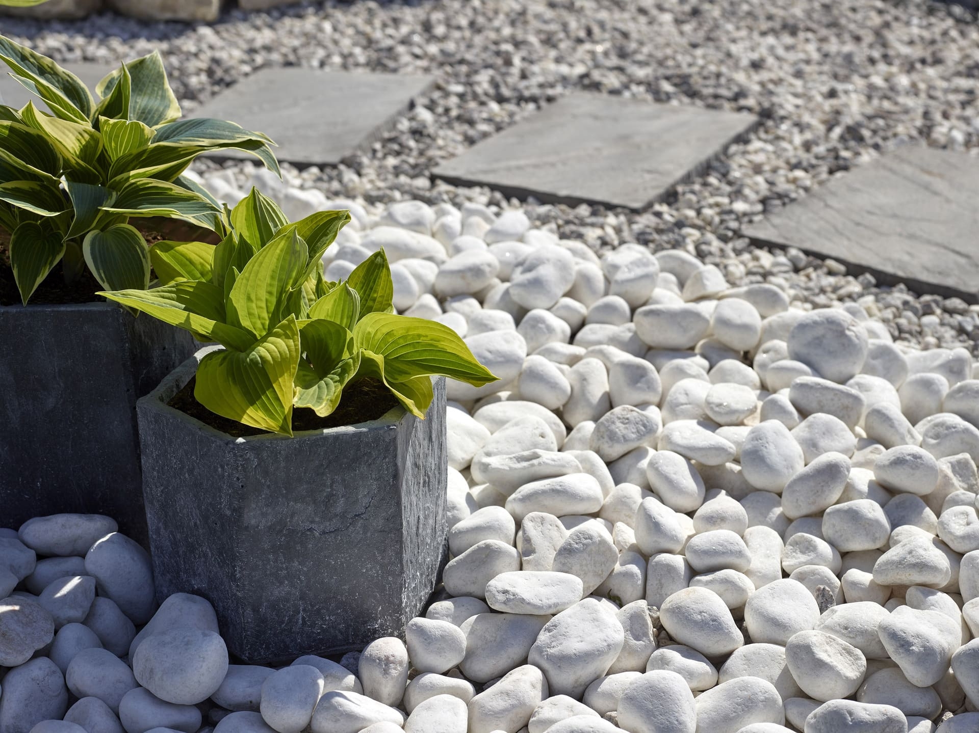 crabtree garden center & landscaping